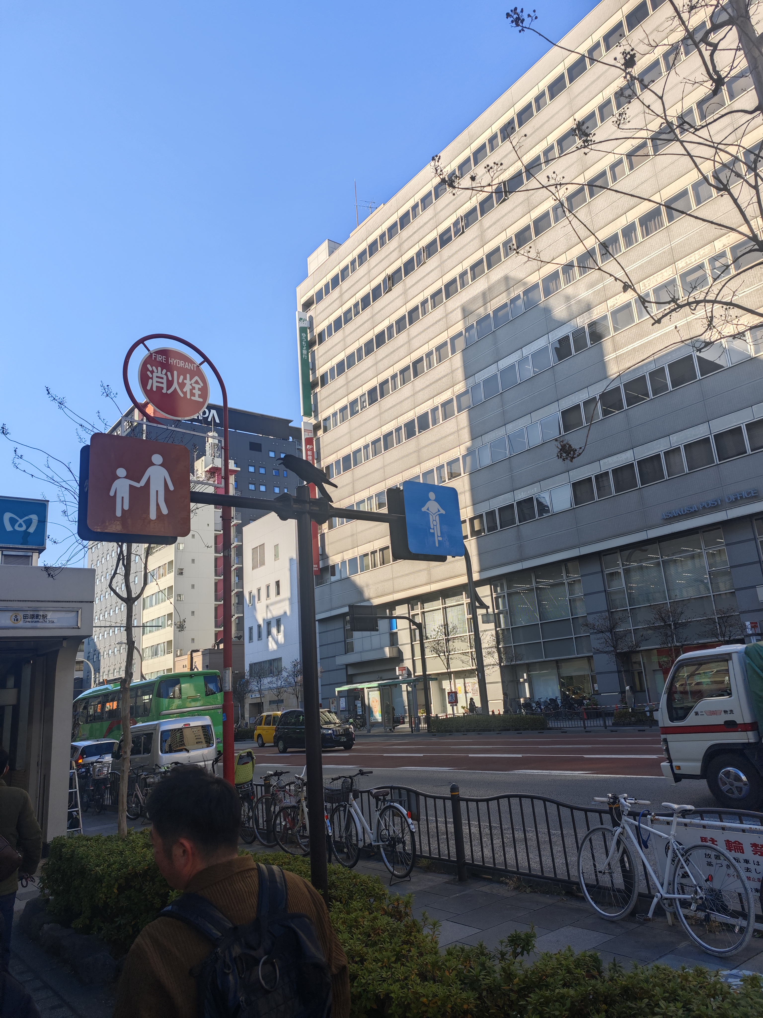 站在路牌上的乌鸦